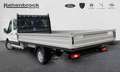 Ford Transit DoKa-Pritsche Trend 350 L5 EcoBlue Blanc - thumbnail 4