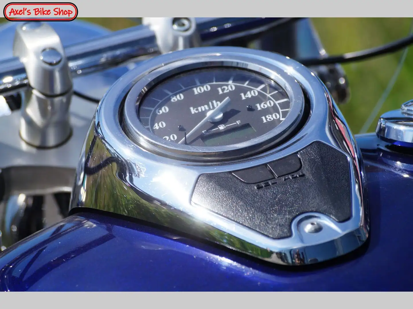 Suzuki VL 800 VOLUSIA Blauw - 2