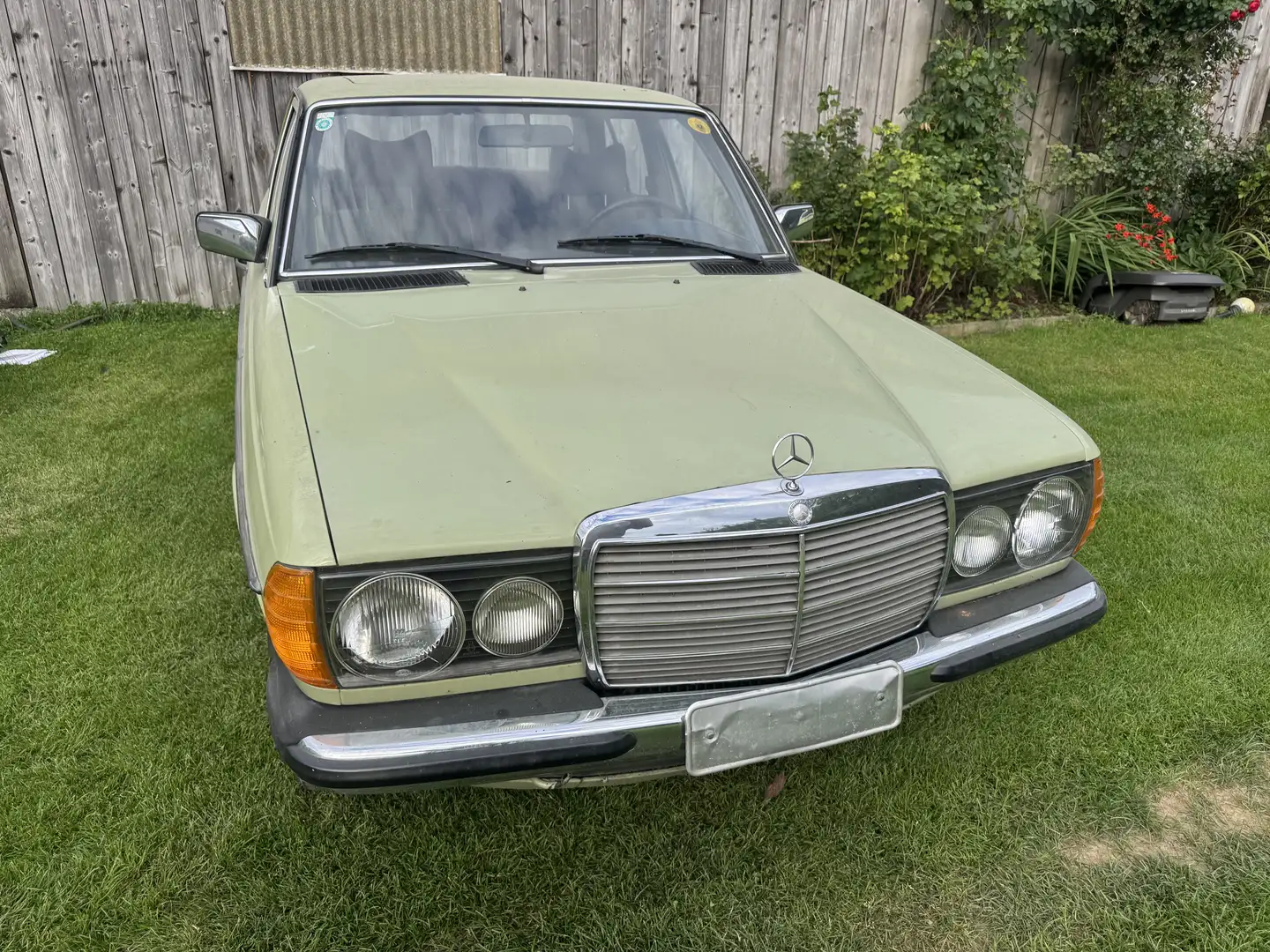 Mercedes-Benz 250 Mercedes W123 250 - 1