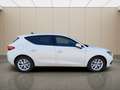 SEAT Leon 1.0 eTSI 81kW DSG-7 S&S Style Go Weiß - thumbnail 12