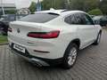 BMW X4 x20d Sports. ACC Laser KomfZ.AHK Finanz.499,- Bianco - thumbnail 6