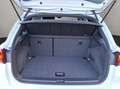 SEAT Arona 1.0 TSI FR Navigation Allwetterreifen Ambi Weiß - thumbnail 19
