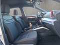 SEAT Arona 1.0 TSI FR Navigation Allwetterreifen Ambi Weiß - thumbnail 17
