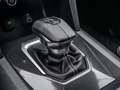 Volkswagen Amarok PanAmericana DC 3.0 TDI LEDER STANDHZ Beige - thumbnail 29