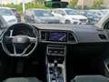SEAT Ateca Xperience - thumbnail 11