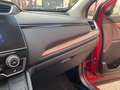 Honda CR-V CR-V 1.5 t Elegance Navi 173cv Rot - thumbnail 24