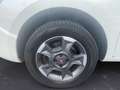 Fiat Qubo 1.3 MJT 95 CV Trekking Weiß - thumbnail 14
