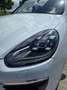 Porsche Cayenne Cayenne Diesel S Diesel Tiptronic Weiß - thumbnail 15
