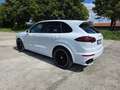 Porsche Cayenne Cayenne Diesel S Diesel Tiptronic Weiß - thumbnail 2