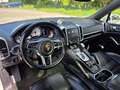 Porsche Cayenne Cayenne Diesel S Diesel Tiptronic Weiß - thumbnail 10