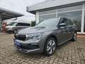 Skoda Kamiq 1.0 TSI DSG Selection Matrix RFK Clima SHZ Gris - thumbnail 2