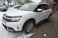 Citroen C5 Aircross C5 Aircross 180EAT Shine LEDER NAVI PANO AHK Blanc - thumbnail 3