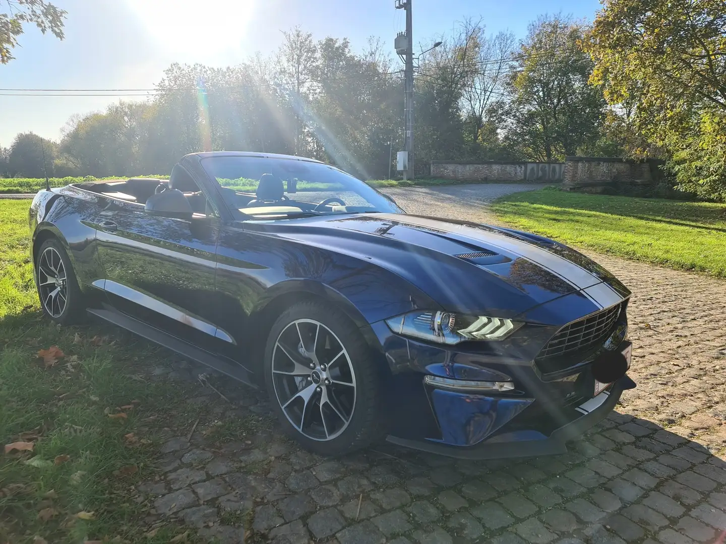Ford Mustang Ford mustang 2.3 essence fifty five Bleu - 2