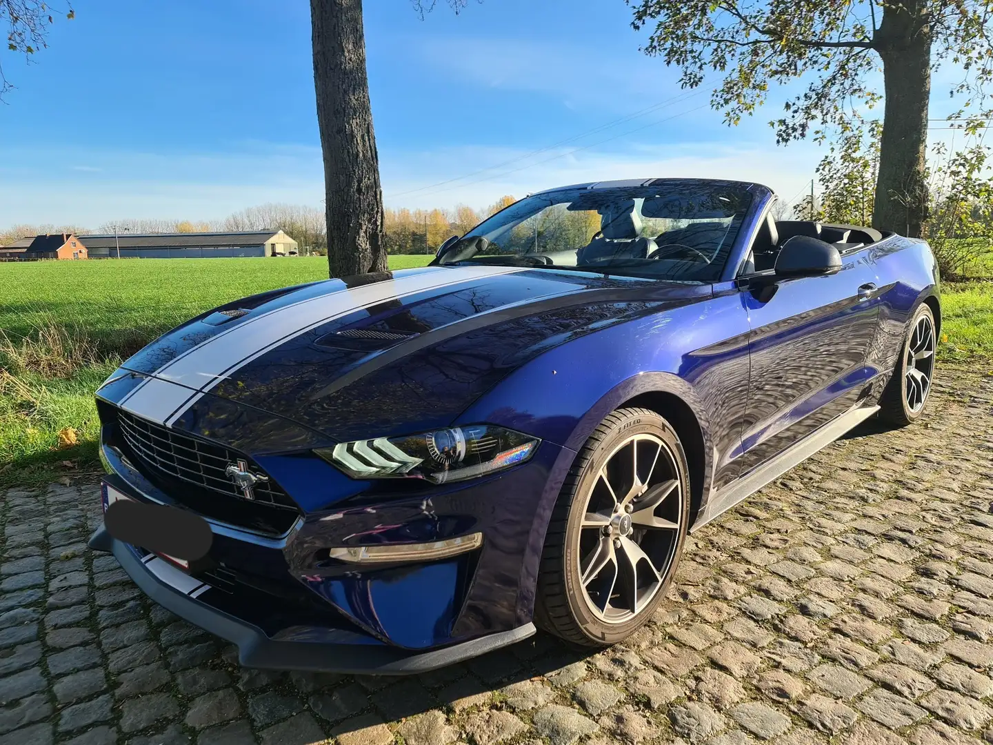 Ford Mustang Ford mustang 2.3 essence fifty five Bleu - 1