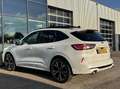 Ford Kuga 2.5 PHEV ST-Line X 225PK Elek. Trekhaak Panodak Wi Wit - thumbnail 11