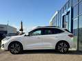 Ford Kuga 2.5 PHEV ST-Line X 225PK Elek. Trekhaak Panodak Wi Wit - thumbnail 7
