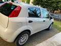 Fiat Punto Punto III 2012 5p 1.2 Lounge E6 Blanc - thumbnail 2