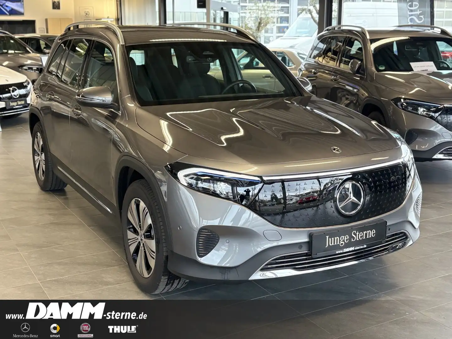 Mercedes-Benz EQB 350 EQB 350 4M Progressive Adv./AHK/Winter-P./+ Flex Gris - 2