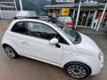 Fiat 500C 500C 1.2 Lounge,PDC,KLIMA,ALU,ALLWETTER,BT Weiß - thumbnail 3