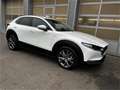 Mazda CX-30 X180 AWD 100 Years Aut. Allrad Automatik in Weiß - thumbnail 6