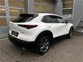 Mazda CX-30 X180 AWD 100 Years Aut. Allrad Automatik in Weiß - thumbnail 5