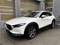 Mazda CX-30 X180 AWD 100 Years Aut. Allrad Automatik in Weiß - thumbnail 1