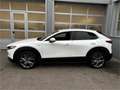 Mazda CX-30 X180 AWD 100 Years Aut. Allrad Automatik in Weiß - thumbnail 2