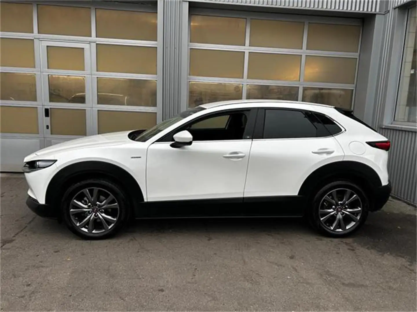 Mazda CX-30 X180 AWD 100 Years Aut. Allrad Automatik in Weiß - 2