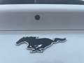 Ford Mustang Mach-E Elektro 99kWh Extended Range Premium Weiß - thumbnail 20