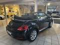 Volkswagen Beetle Cabriolet 1.2 TSI Club Navi PDC Klima Club Noir - thumbnail 7