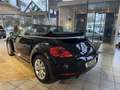 Volkswagen Beetle Cabriolet 1.2 TSI Club Navi PDC Klima Club Noir - thumbnail 5