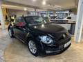 Volkswagen Beetle Cabriolet 1.2 TSI Club Navi PDC Klima Club Noir - thumbnail 3