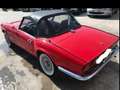 Triumph Sonstige Rot - thumbnail 8