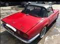 Triumph Sonstige Rot - thumbnail 9