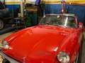 Triumph Sonstige Rot - thumbnail 10