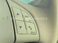 Fiat 500 Cult Cabrio/Leder/Navi/Euro6 Grün - thumbnail 19