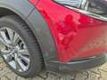Mazda CX-30 SKY-G EXCLUSIVE+OPTSCHE MÄNGEL !!! Rot - thumbnail 13