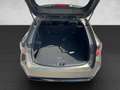 Suzuki Swace 1.8 Hybrid Shine ''WR'' Grau - thumbnail 18