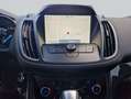 Ford Kuga 1.5 EcoBoost 2x4 Aut. Titanium Blu/Azzurro - thumbnail 14