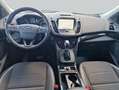 Ford Kuga 1.5 EcoBoost 2x4 Aut. Titanium Blu/Azzurro - thumbnail 11