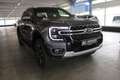 Ford Ranger 3,0 DoKa Automatik Platinum Leder B&O AHK Rollo Gris - thumbnail 9