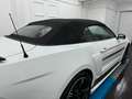Ford Mustang GT-CS 5.0 Cabrio California/B&O/Dgi-Odo Bílá - thumbnail 8