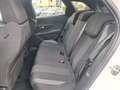 Peugeot 3008 BlueHDi 130 S&S EAT8 Active Pack N1 AUTOCARRO Bianco - thumbnail 9
