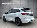 Ford Kuga 2.5 PHEV ST-LINE X *PANO*19-LM*AHK*iACC*TECHN.-P.* Weiß - thumbnail 3