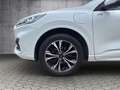 Ford Kuga 2.5 PHEV ST-LINE X *PANO*19-LM*AHK*iACC*TECHN.-P.* Weiß - thumbnail 15