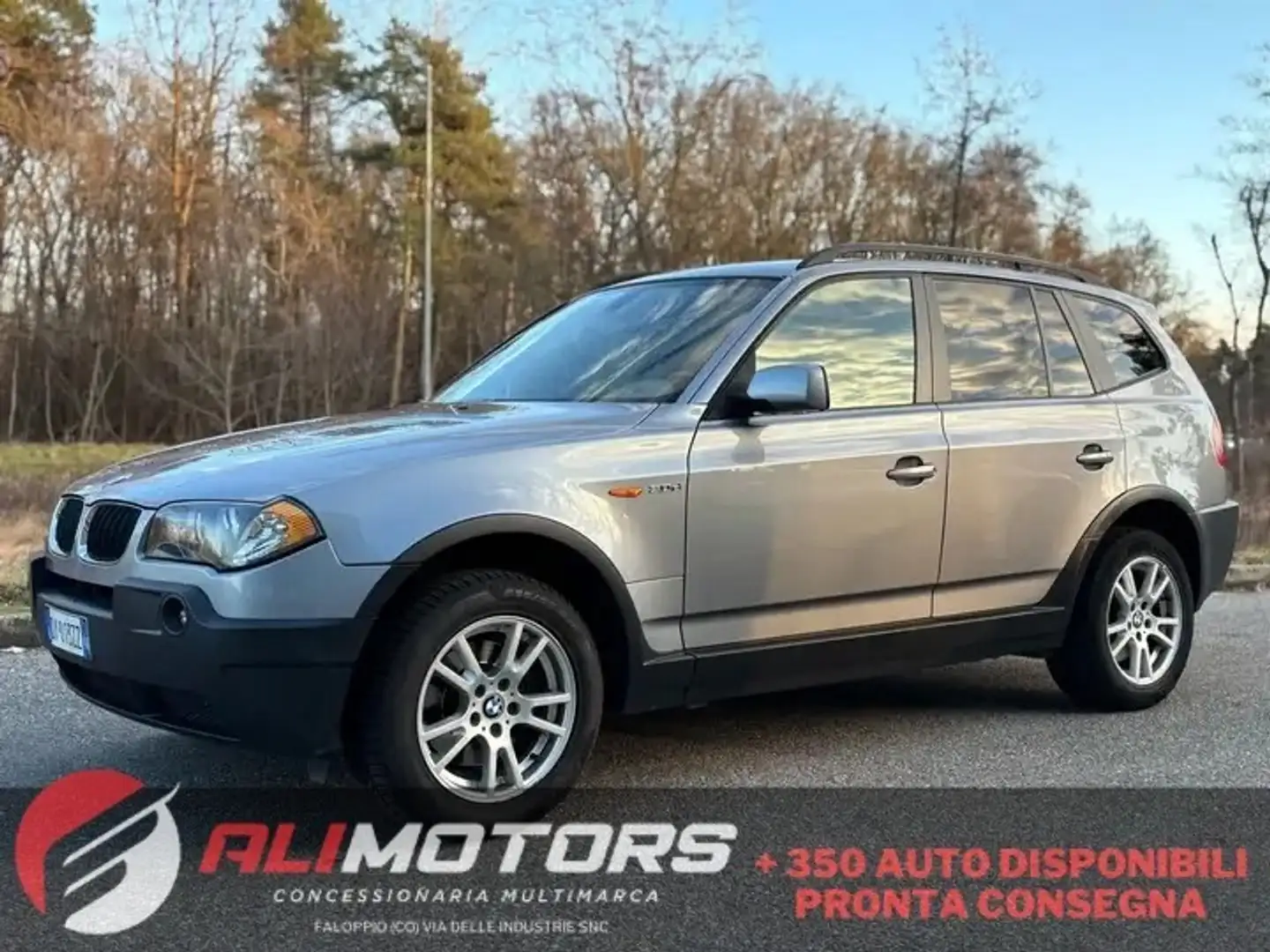 BMW X3 xDrive30d Grau - 1