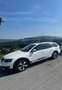 Skoda Octavia Combi 2,0 TDI 4x4 Scout DSG - thumbnail 1