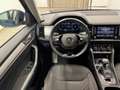 Skoda Kodiaq 2.0 TDI 4x4 Blau - thumbnail 13