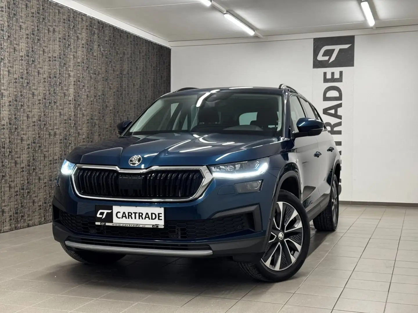 Skoda Kodiaq 2.0 TDI 4x4 Blau - 1