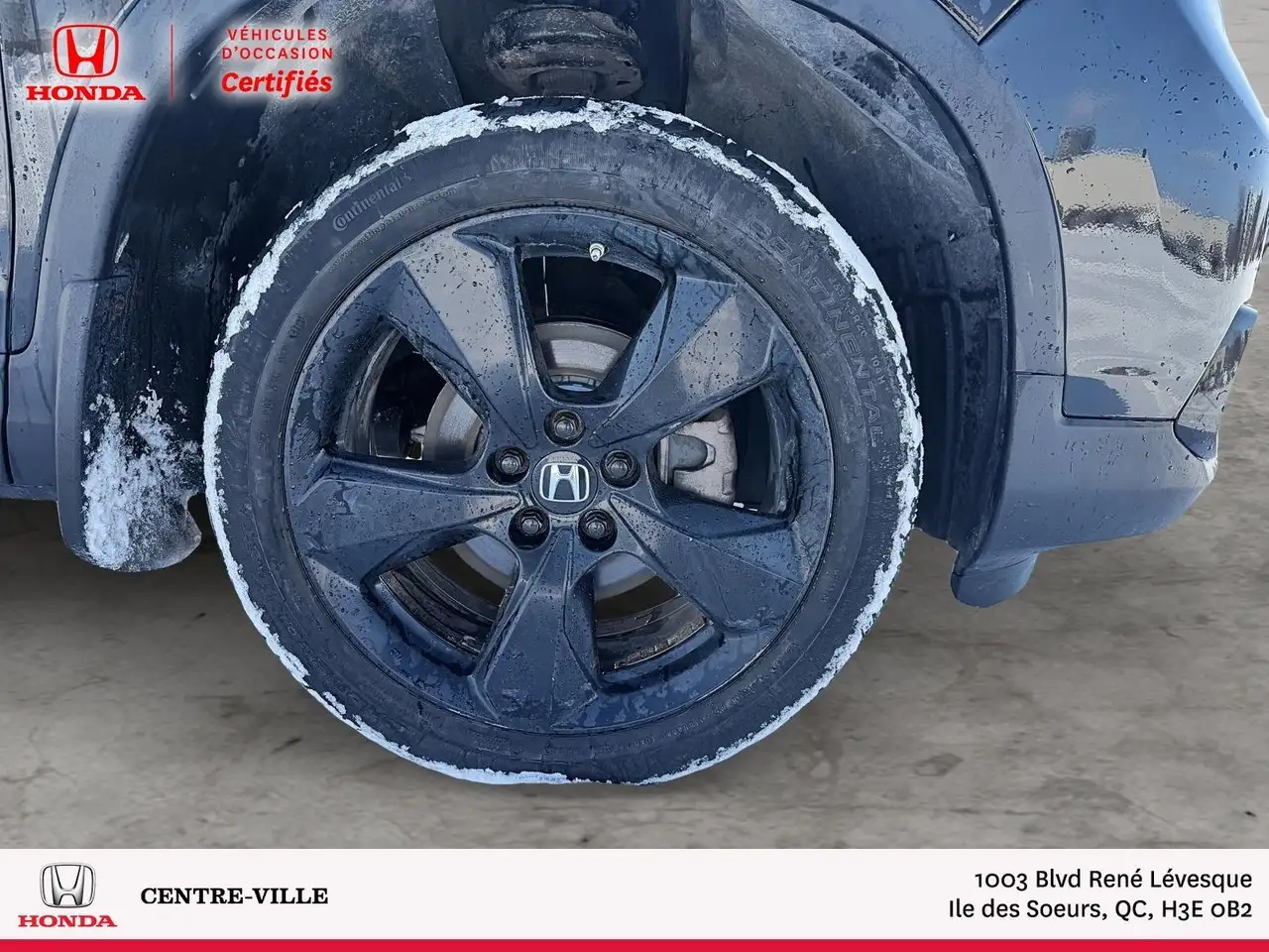 Honda Passport снимка Honda Passport